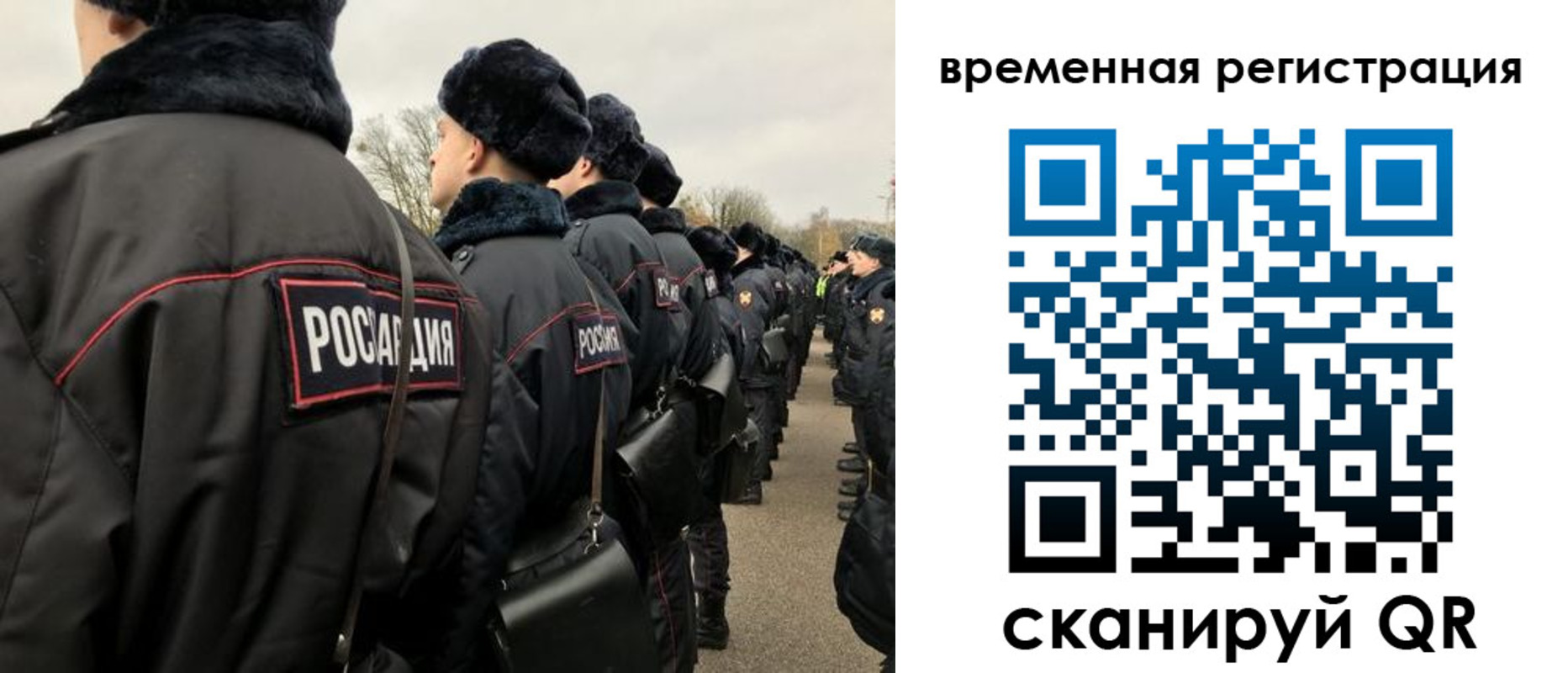 прописка гарантия в Покрове